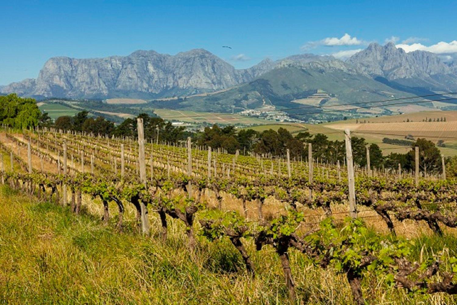 Apartamento Domaine Coutelier Stellenbosch Exterior foto